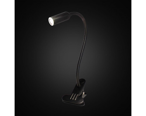 Дополнительное фото Лампа настольная Citilux Ньютон CL803061N: Купить в Интернет магазин освещения GCSVET.RU