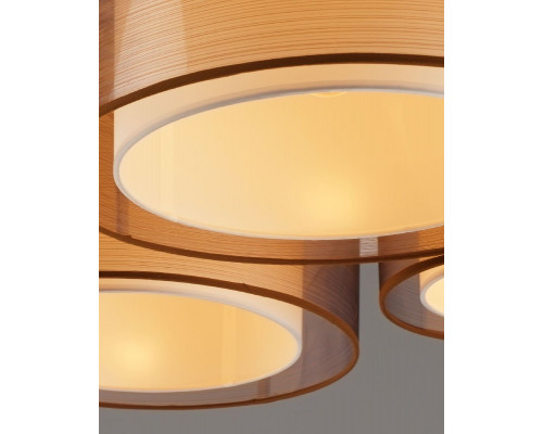 Дополнительное фото Светильник потолочный Moderli Room V10624-5C: Купить в Интернет магазин освещения GCSVET.RU