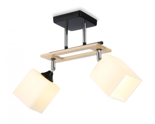 Основное фото Люстра потолочная Ambrella Light Modern TR9503: Купить в Интернет магазин освещения GCSVET.RU
