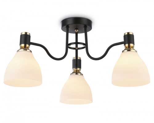 Основное фото Люстра потолочная Ambrella Light Modern TR303303: Купить в Интернет магазин освещения GCSVET.RU