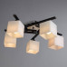Дополнительное фото Люстра потолочная Arte Lamp 52 A8165PL-5BK: Купить в Интернет магазин освещения GCSVET.RU