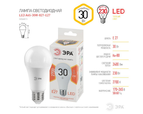 Основное фото Светодиодная лампочка Эра LED A65-30W-827-E27 Б0048015: Купить в Интернет магазин освещения GCSVET.RU