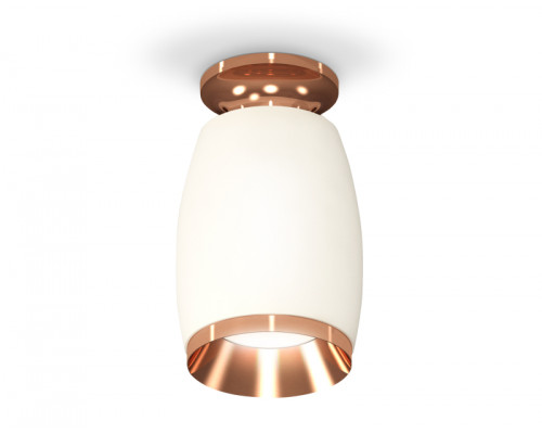 Основное фото Светильник потолочный Ambrella Light Techno Spot XS1122045 (N6906, C1122, N7035): Купить в Интернет магазин освещения GCSVET.RU