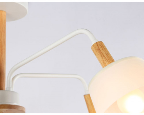 Дополнительное фото Люстра потолочная Ambrella Light Modern Losk TR4738: Купить в Интернет магазин освещения GCSVET.RU