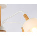 Дополнительное фото Люстра потолочная Ambrella Light Modern Losk TR4738: Купить в Интернет магазин освещения GCSVET.RU