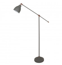Напольный светильник Arte Lamp Braccio A2054PN-1GY
