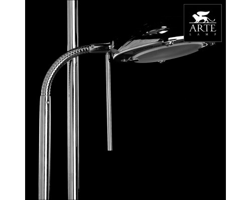 Дополнительное фото Напольный светильник Arte Lamp Duetto A4329PN-2CC: Купить в Интернет магазин освещения GCSVET.RU