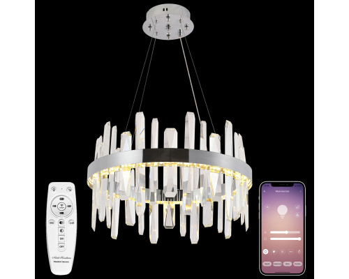 Основное фото Люстра подвесная Natali Kovaltseva LED LAMPS 81255: Купить в Интернет магазин освещения GCSVET.RU