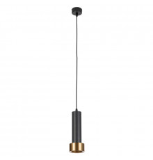 Светильник подвесной Arte Lamp Ran A3147SP-1BK