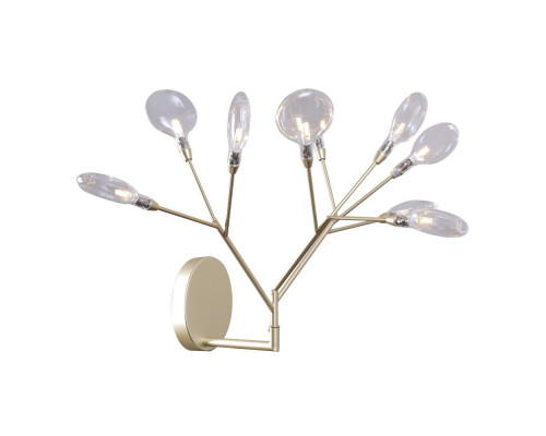 Основное фото Настенный светильник Crystal Lux Evita AP9 Gold/Transparent: Купить в Интернет магазин освещения GCSVET.RU