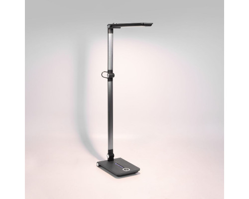Дополнительное фото Настольная лампа Elektrostandard Great 4690389203428 TL70240 a065290: Купить в Интернет магазин освещения GCSVET.RU
