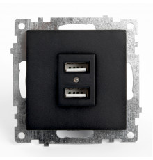 Розетка USB 2-местная Stekker Катрин 39616