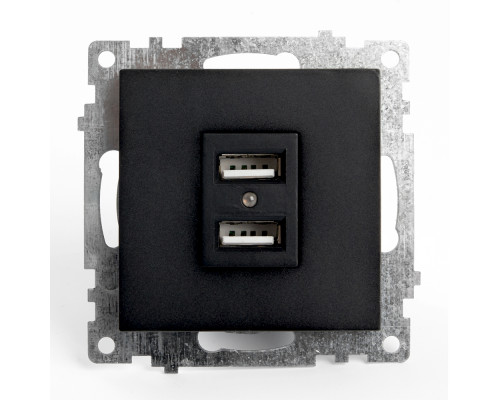 Основное фото Розетка USB 2-местная Stekker Катрин 39616: Купить в Интернет магазин освещения GCSVET.RU