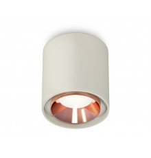Светильник потолочный Ambrella Light Techno Spot XS7724005 (C7724, N7035)