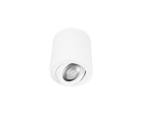 Основное фото Светильник накладной Loft IT Unit 10340/B White: Купить в Интернет магазин освещения GCSVET.RU