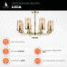 Дополнительное фото Люстра потолочная Vele Luce Licia VL1924L08: Купить в Интернет магазин освещения GCSVET.RU