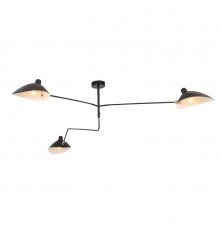 Люстра потолочная ST Luce Spruzzo SL305.402.03