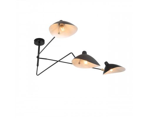 Дополнительное фото Люстра потолочная ST Luce Spruzzo SL305.402.03: Купить в Интернет магазин освещения GCSVET.RU