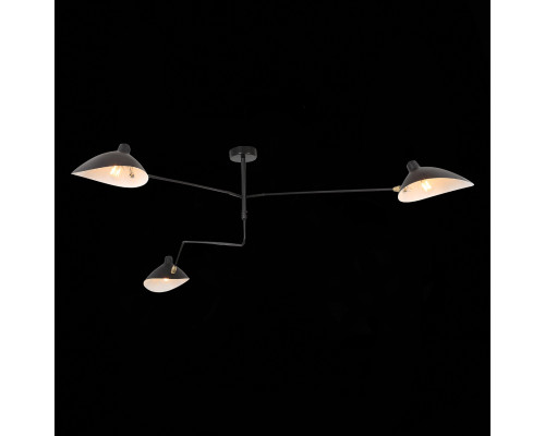 Дополнительное фото Люстра потолочная ST Luce Spruzzo SL305.402.03: Купить в Интернет магазин освещения GCSVET.RU