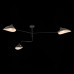 Дополнительное фото Люстра потолочная ST Luce Spruzzo SL305.402.03: Купить в Интернет магазин освещения GCSVET.RU