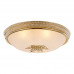 Основное фото Светильник потолочный Arte Lamp Vassoio A9205PL-5GO: Купить в Интернет магазин освещения GCSVET.RU