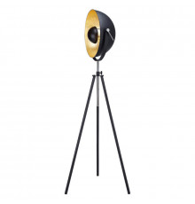 Напольный светильник Lussole Loft Bollo LSP-9824