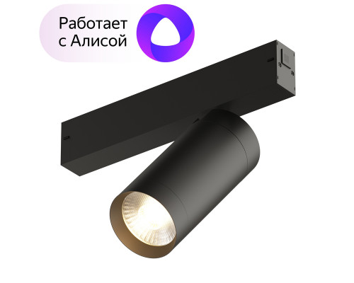 Основное фото Светильник трековый Denkirs Smart DK8020-BK: Купить в Интернет магазин освещения GCSVET.RU