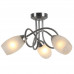 Дополнительное фото Люстра потолочная Arte Lamp Mutti A8616PL-3SS: Купить в Интернет магазин освещения GCSVET.RU