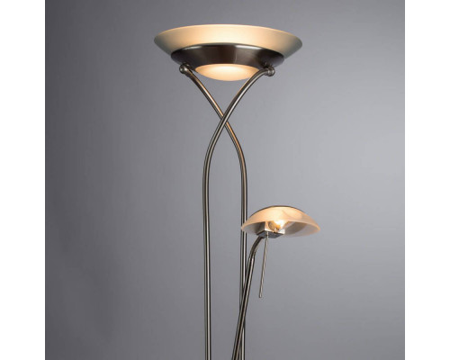 Дополнительное фото Напольный светильник Arte Lamp Duetto A4399PN-2SS: Купить в Интернет магазин освещения GCSVET.RU