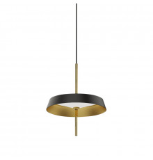 Светильник подвесной DeLight Collection MD18001061-1A  black/gold