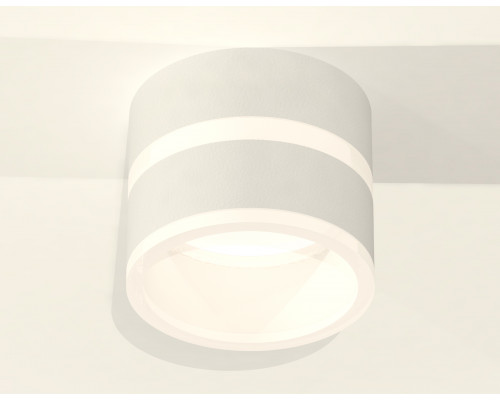 Дополнительное фото Светильник потолочный Ambrella Light Techno Spot XS8101019 (C8101, N8444): Купить в Интернет магазин освещения GCSVET.RU