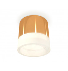 Светильник потолочный Ambrella Light Techno Spot XS8121010 (C8121, N8401)