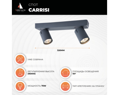 Дополнительное фото Светильник спот Vele Luce Carrisi VL8067S02: Купить в Интернет магазин освещения GCSVET.RU