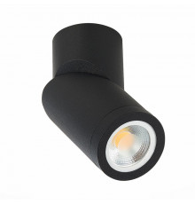 Светильник спот ST Luce ST650.402.01