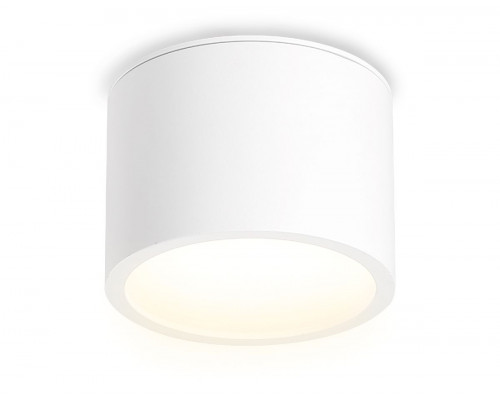 Основное фото Светильник накладной Ambrella Light IP Protect TN6550: Купить в Интернет магазин освещения GCSVET.RU
