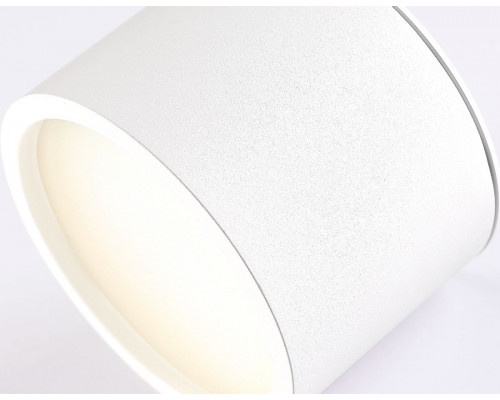 Дополнительное фото Светильник накладной Ambrella Light IP Protect TN6550: Купить в Интернет магазин освещения GCSVET.RU