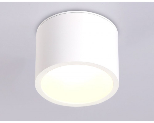 Дополнительное фото Светильник накладной Ambrella Light IP Protect TN6550: Купить в Интернет магазин освещения GCSVET.RU