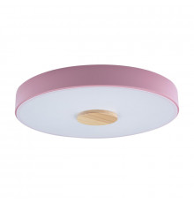 Светильник потолочный Loft IT AXEL 10003/24 Pink