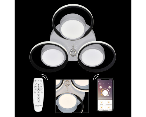 Основное фото Люстра потолочная Natali Kovaltseva HIGH-TECH LED LAMPS 82046: Купить в Интернет магазин освещения GCSVET.RU