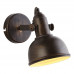 Дополнительное фото Светильник спот Arte Lamp Martin A5213AP-1BR: Купить в Интернет магазин освещения GCSVET.RU
