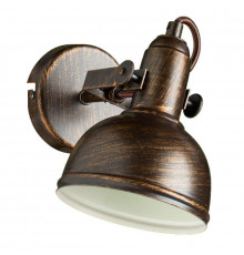 Светильник спот Arte Lamp Martin A5213AP-1BR