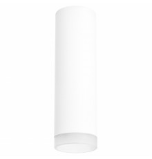 Светильник потолочный Lightstar RULLO R649680 (216496+202480)