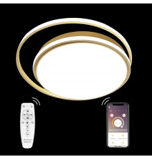 Люстра потолочная Natali Kovaltseva LED LAMPS 81315