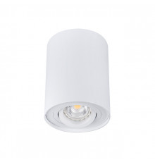 Светильник накладной Kanlux Bord DLP-50-W  22551