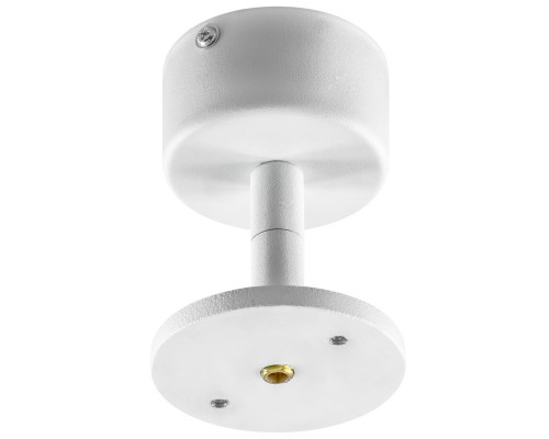 Основное фото База для светильника Lightstar Rullo 590006: Купить в Интернет магазин освещения GCSVET.RU
