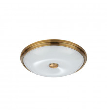 Настенно-Светильник потолочный Odeon Light Pelow 4956/4