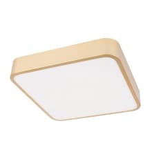 Светильник потолочный Loft IT Flims 10228/C