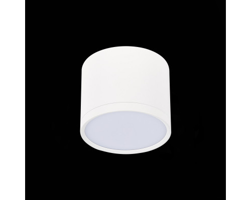 Дополнительное фото Светильник потолочный ST Luce Rene ST113.532.09: Купить в Интернет магазин освещения GCSVET.RU