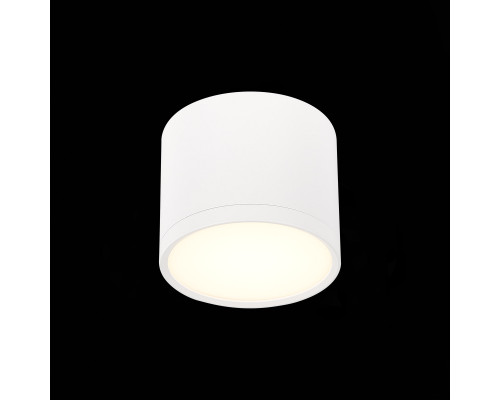 Дополнительное фото Светильник потолочный ST Luce Rene ST113.532.09: Купить в Интернет магазин освещения GCSVET.RU