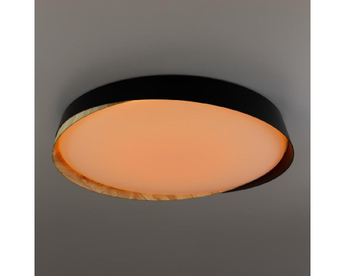 Дополнительное фото Светильник потолочный Citilux Bonny CL754451G: Купить в Интернет магазин освещения GCSVET.RU